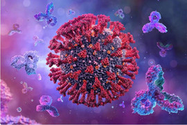 Việt Nam ghi nhận biến thể phụ mới BA.5 của Omicron