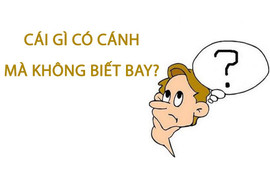 Cái gì có cánh mà không biết bay?