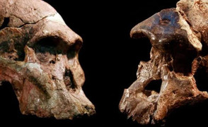 Phân tích 'vật chất vũ trụ', tìm ra con người đầu tiên của Trái Đất?