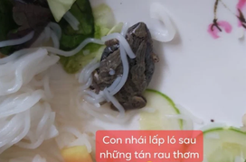 Thực khách số nhọ 'khóc thét' phát hiện những thứ không tưởng lẫn vào đồ ăn