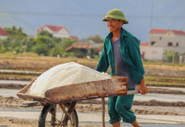 Thời tiết ngày 29/6: Miền Bắc hứng đợt mưa lớn, miền Trung nắng rát