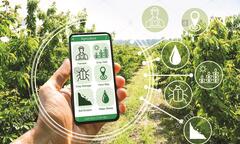 Số hóa chuỗi giá trị nông nghiệp bền vững cùng bà con nông dân