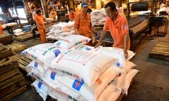 Thị trường phân bón có còn biến động?