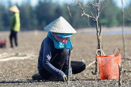 Nắng nóng tiếp tục xuất hiện ở Bắc Bộ, Trung Bộ trong tháng 7