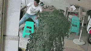 Video: Bé gái vô tình vặn tay ga, xe điện lao thẳng vào người đàn ông