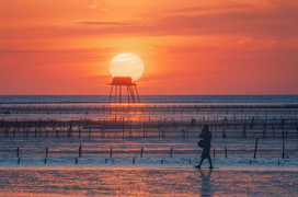 Bãi biển hoang sơ ở Thái Bình với những chòi canh ngao ẩn hiện đầy thơ mộng 