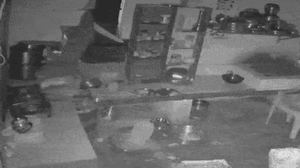 Video: Voi đói bụng, phá tường nhà dân tìm thức ăn