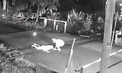 Video: Nhân viên gác chắn dũng cảm cứu người ngã giữa đường ray