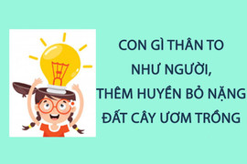 Con gì thân to như người, thêm huyền bỏ nặng đất cây ươm trồng 