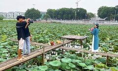 'Hốt' hàng chục triệu đồng mỗi ngày khi chụp ảnh hoa sen Hồ Tây