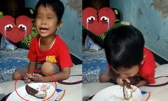 Cậu bé vật vã khóc khi mẹ chiên cá cưng để ăn cơm, hành động sau còn bất ngờ hơn