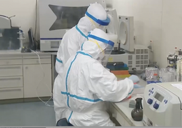 BA.4 và BA.5 lây lan nhanh hơn 10-13% so với các biến thể Omicron khác