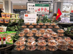 Xuất nhập khẩu Việt Nam - Nhật Bản đạt hơn 20 tỷ USD