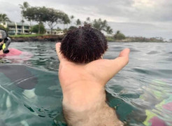 99% mọi người đều nhầm nhìn bức ảnh này lần đầu tiên, còn bạn?