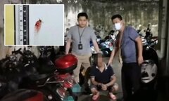 Ly kỳ chuyện muỗi 'báo thù' khiến tên trộm sa lưới