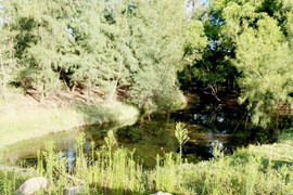 Hai chị em họ ở Hà Tĩnh đuối nước khi ra hồ gần nhà chơi