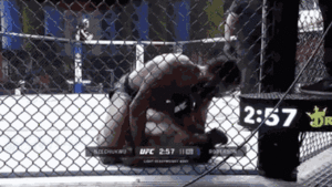 Video: Võ sĩ tung liên tiếp 17 đòn hiểm hóc hạ gục đối thủ