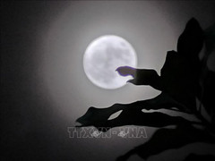 Chiêm ngưỡng siêu trăng lớn nhất năm 2022