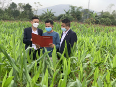 Agribank khẳng định vai trò chủ lực đầu tư 'Tam nông'