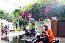 Không hỏng cũng 'núp' lùm cây, nhiều biển báo ở TP.HCM đánh đố người đi đường