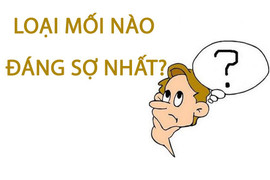 Loại mối nào đáng sợ nhất?