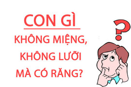 Cái gì không miệng, không lưỡi mà lại có răng? 