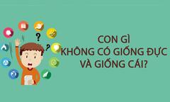 Con gì không có giống đực và giống cái?