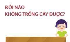 Đồi nào không trồng cây được?
