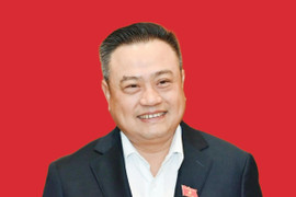 Infographic: Phó Bí thư Thành ủy Hà Nội Trần Sỹ Thanh