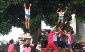 Màn hái xoài 'chất' như xiếc của nhóm vũ công