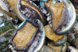 Sự thật về bào ngư Hàn Quốc giá rẻ tràn ngập chợ mạng