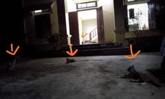 Anh chàng đột ngột bỏ chạy ngay khi đến nhà bạn gái, biết lí do càng bất ngờ hơn