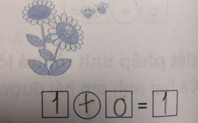Học sinh đặt phép tính 1+0=1, tưởng 'rõ như ban ngày' nhưng vẫn gây tranh cãi