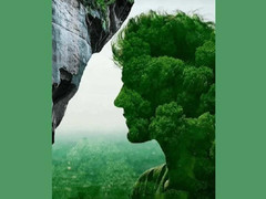 Trắc nghiệm vui: Tin vui nào sắp đến với bạn?