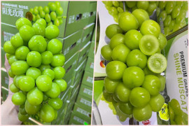 Sự thật về nho sữa Nhật Bản giá rẻ bất ngờ bán đầy chợ mạng