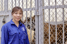 Người mẹ của những 'đứa con hổ' 