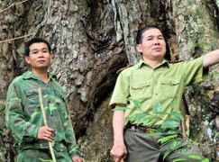 'Người rừng' và giấc mơ kiểm lâm viên dang dở