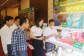 Quảng Trị tổ chức Hội nghị Kết nối cung cầu giao thương các vùng miền năm 2022