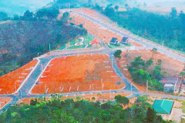 Lâm Đồng: Thu hồi dự án chậm tiến độ, hủy quy hoạch không khả thi