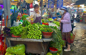 Không giảm theo giá xăng, nhiều loại thực phẩm, rau xanh còn đắt đỏ hơn
