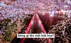 Sông gì mang tên một loài hoa?