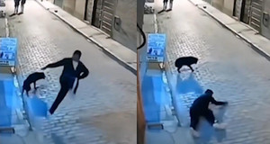 Chàng trai bị 'nghiệp quật' vì ngứa chân đá chó