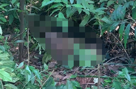 Phát hiện thi thể nam giới đang phân huỷ ở Hải Phòng