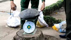 Video: Bắt giữ vụ vận chuyển trái phép 94 cá thể động vật hoang dã qua biên giới
