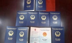 Đại sứ quán Séc dừng công nhận hộ chiếu mới của Việt Nam