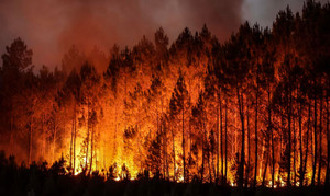 Nhiệt độ thiêu đốt bao trùm thế giới: Đã quá muộn cứu Trái Đất?