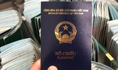 Đức ngừng cấp visa vào hộ chiếu Việt Nam mẫu mới: Doanh nghiệp lữ hành lo lắng