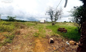 Cỏ dại bao phủ những 'siêu dự án' phân lô, bán nền ở Lâm Đồng sau thời sốt nóng