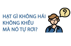 Hạt gì không hái không khều mà nó tự rơi?