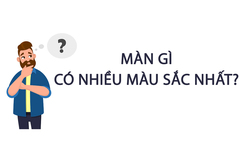 Màn gì có nhiều màu sắc nhất? 